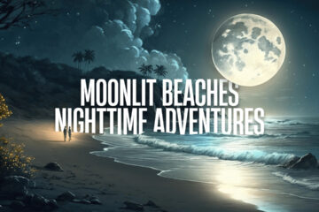 Moonlit Beaches Nighttime Adventures by the Tides